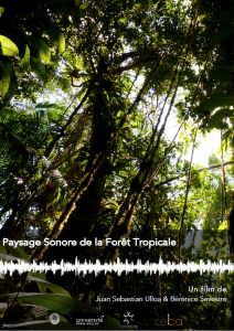 Paysages sonores de la forêt tropicale